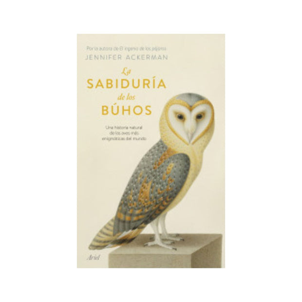 La sabiduría de los búhos
