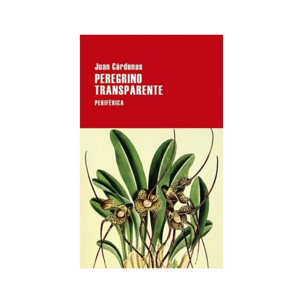 Peregrino Transparente