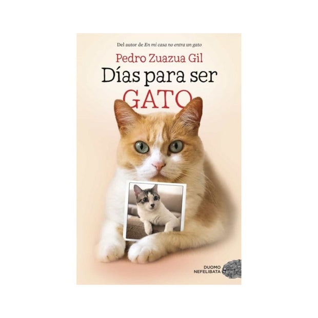 Días para ser gato