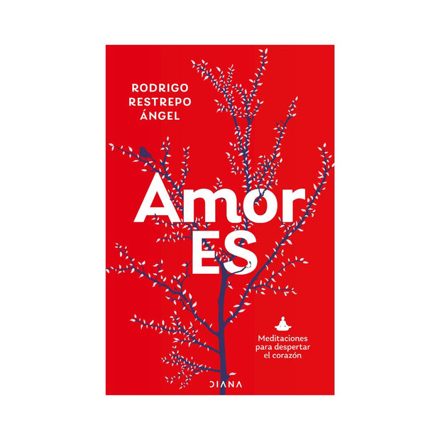 Amor Es