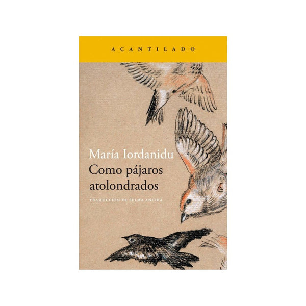 Como Páiaros Atolondrados