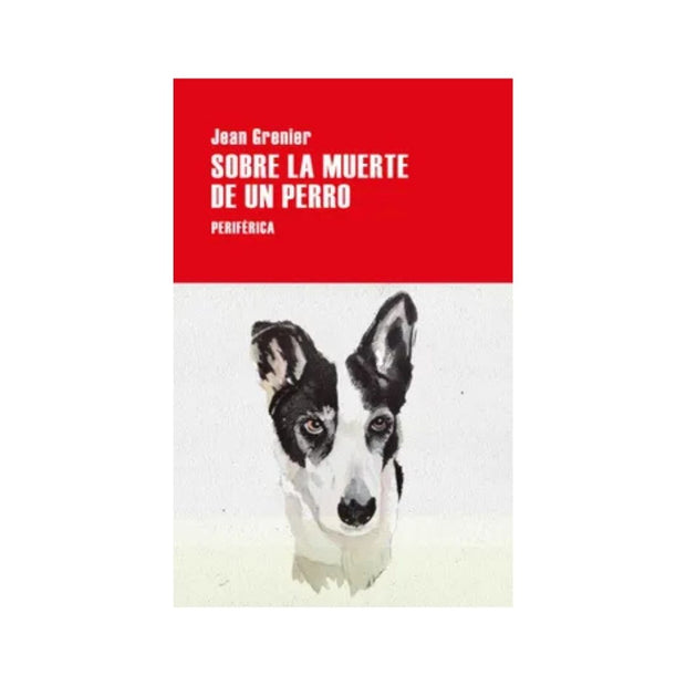 Sobre La Muerte De Un Perro