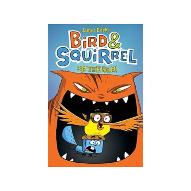 Bird & Squirrel On The Run: A Graphic Novel (Bird & Squirrel #1)