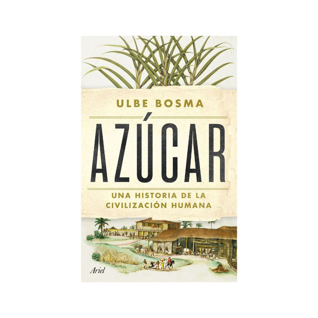 Azúcar