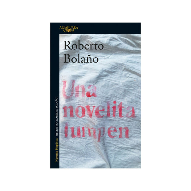 Una novelita lumpen