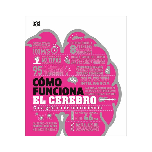 Como Funciona El Cerebro