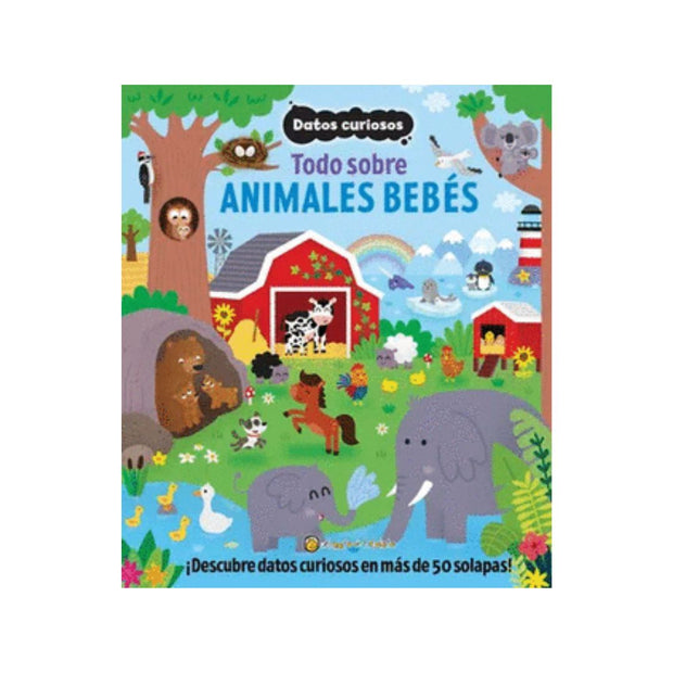 Datos Curiosos. Descubre Los Animales Be