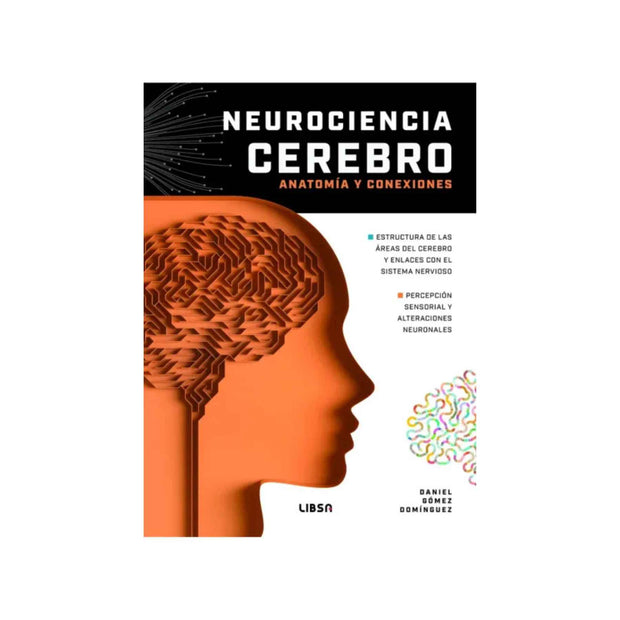 Neurociencia Cerebro Anatomía Y Conexion