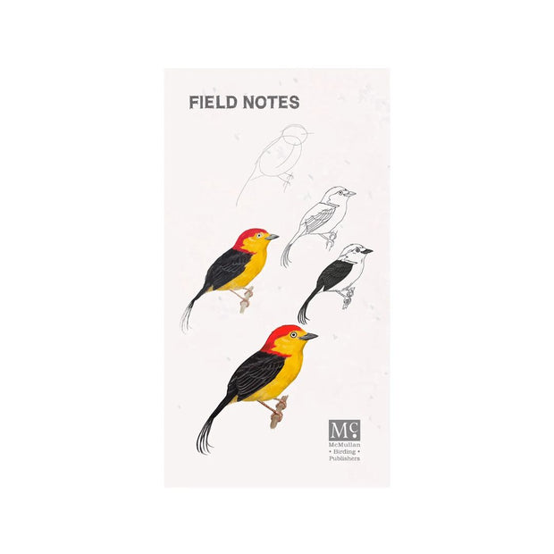 Libreta de Campo-Field Notes