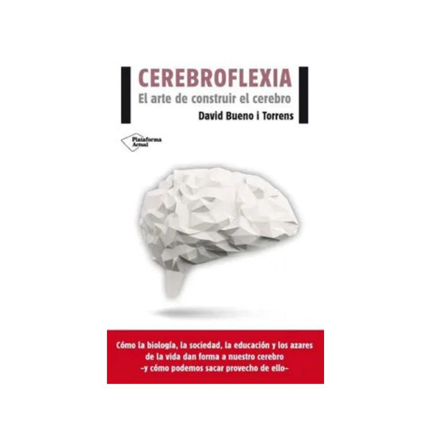 Cerebroflexia