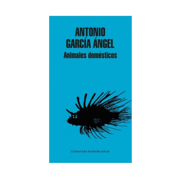 Animales Domesticos