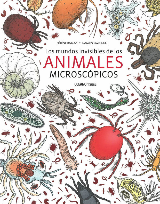 Los Mundos Invisibles De Los Animales Microscópicos