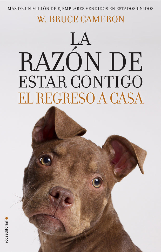 Razon De Estar Contigo, La - El Regreso