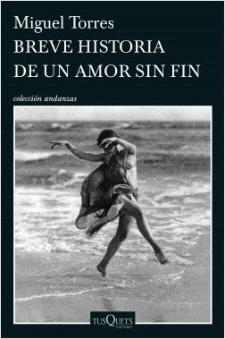 Breve Historia De Un Amor Sin Fin