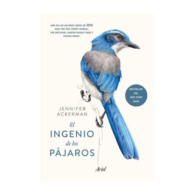 El Ingenio De Los Pajaros