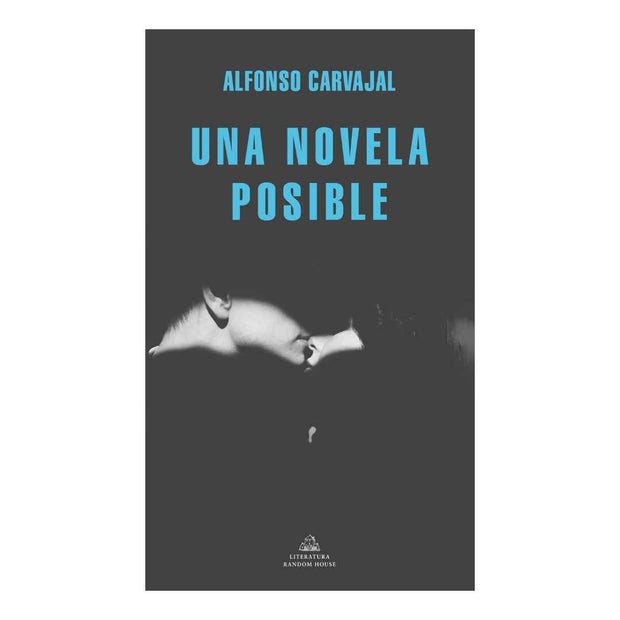 Una Novela Posible