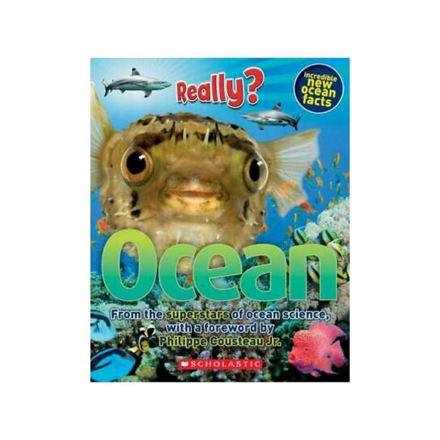 Really? Ocean