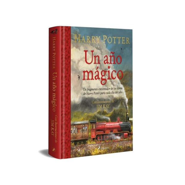 Harry Potter: Un Año Magico