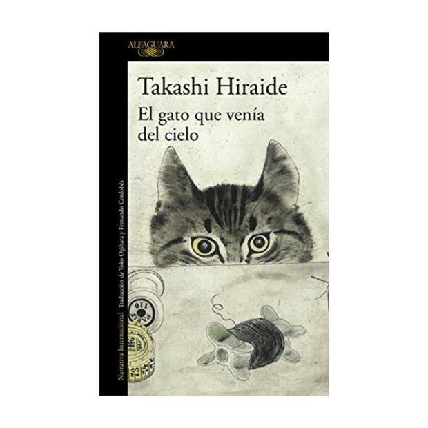 Gato Que Venia Del Cielo, El
