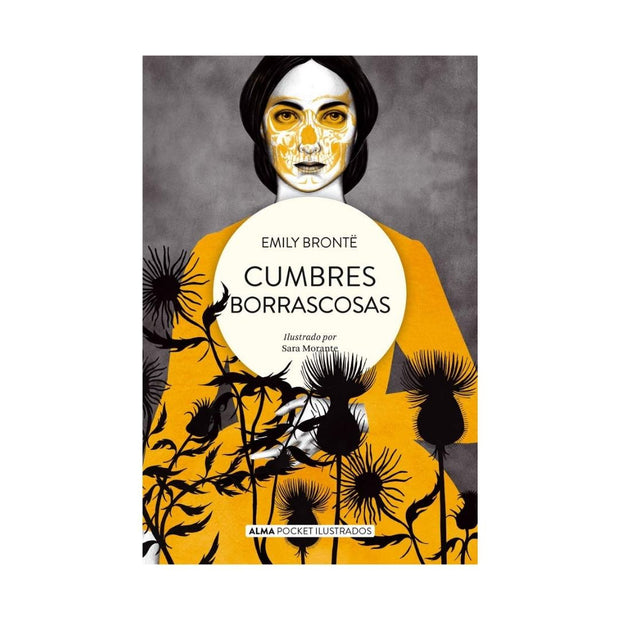 Cumbres Borrascosas Pocket