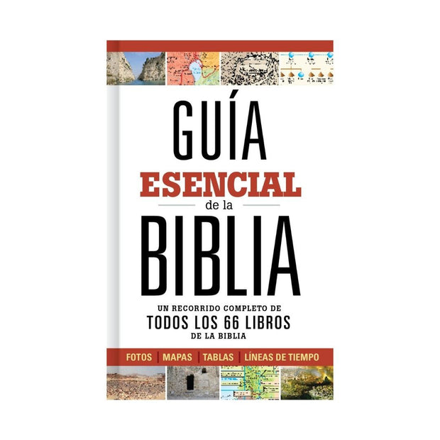 Guía Esencial De La Biblia: Un Recorrido. Completo De Todos 